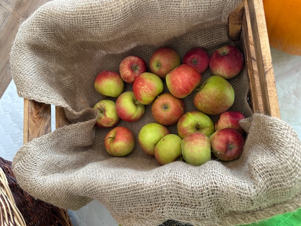 Kulinarne warsztaty kiszenia dla KGW Katarzyna Gubała