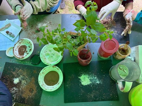 Piknik Wrocław nie marnuje i warsztaty kulinarne ze zdrowych słodyczy Katarzyna Gubała