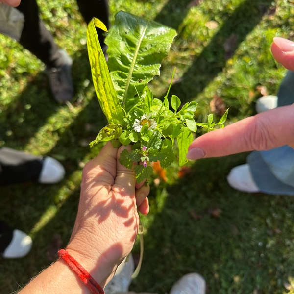 Warsztaty kulinarne dla seniorów z Uniwersytetu Trzeciego Wieku AWL Katarzyna Gubała