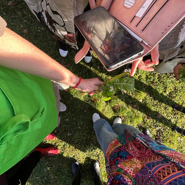 Warsztaty kulinarne dla seniorów z Uniwersytetu Trzeciego Wieku AWL Katarzyna Gubała