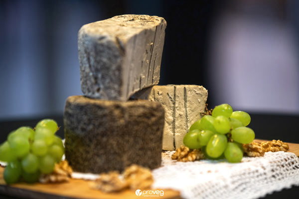 Konferencja zrównoważonego żywienia w Polsce New Food Forum 2026 ProVeg Polsk relacja Katarzyna Gubała