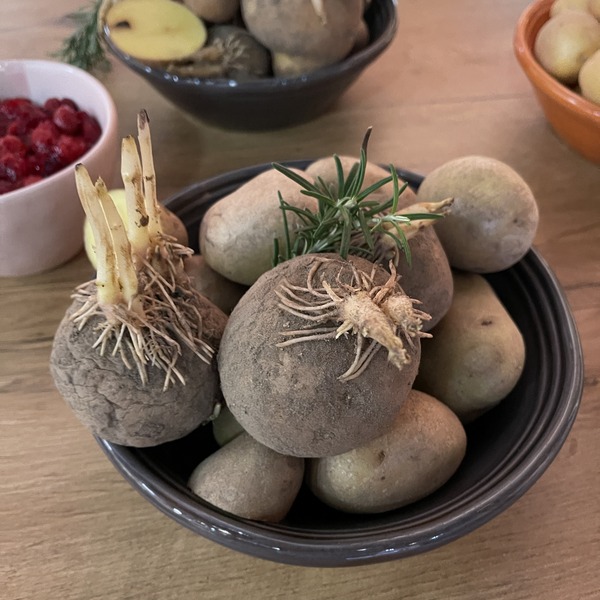 Czy ziemniaki są szkodliwe lub toksyczne ekspert dieta Katarzyna Gubała